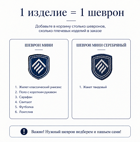 Шеврон Ломоносовкая школа